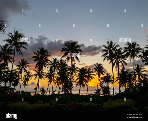 Fiji Taveuni Island Beach Sunset With Palm Trees Stock Photo Alamy