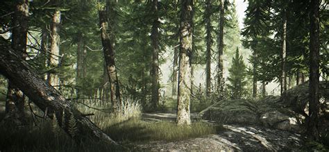 Escape From Tarkov Woods Key Locations - Gamer Journalist