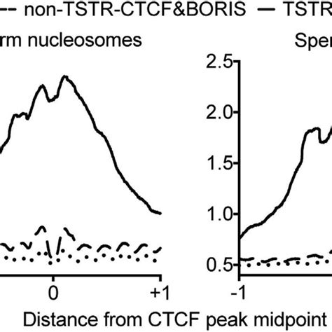 Tstr Ctcfandboris Sites Are Associated With Histone Retention In Mature Download Scientific