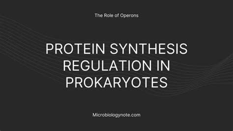 Protein Synthesis Regulation In Prokaryotespptx