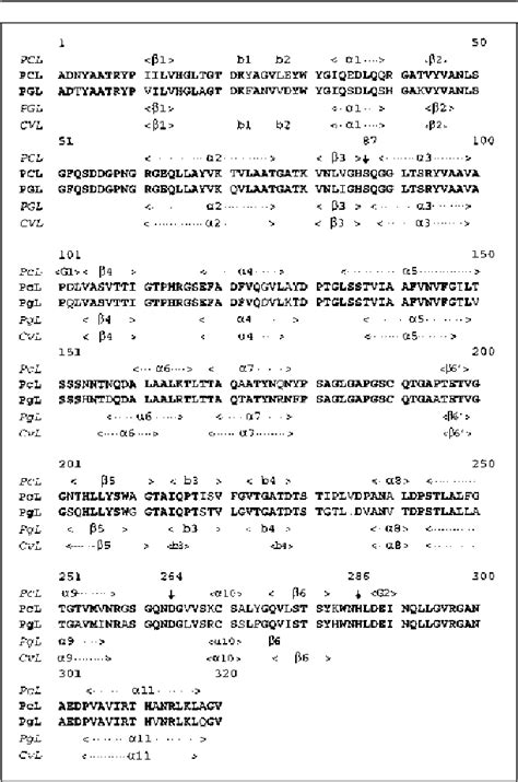 Figure 1 from The crystal structure of a triacylglycerol lipase from ...