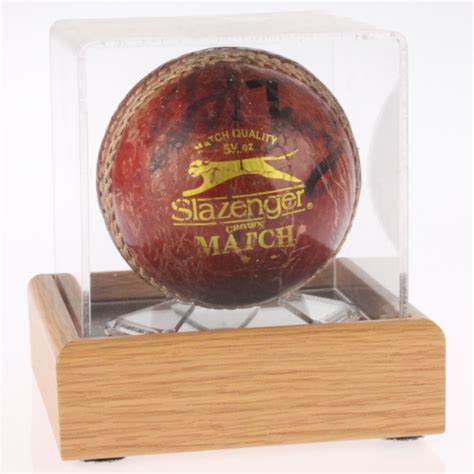 Cricket Ball Display Case