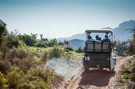 Pilanesberg Wildlife Safari DAY TOUR | Affordable Deals - Book Self ...