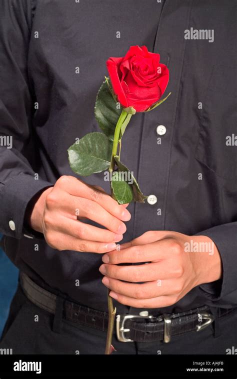Man holding single red rose Stock Photo - Alamy