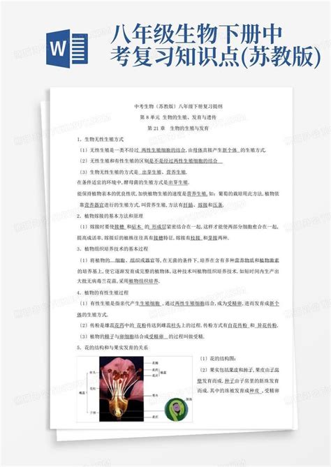 八年级生物下册中考复习知识点苏教版word模板下载编号qoxjjyng熊猫办公