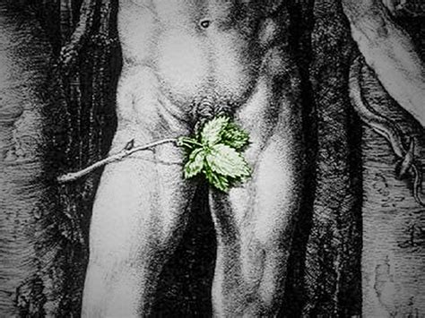 Sex Ed For Adults Ted Talks