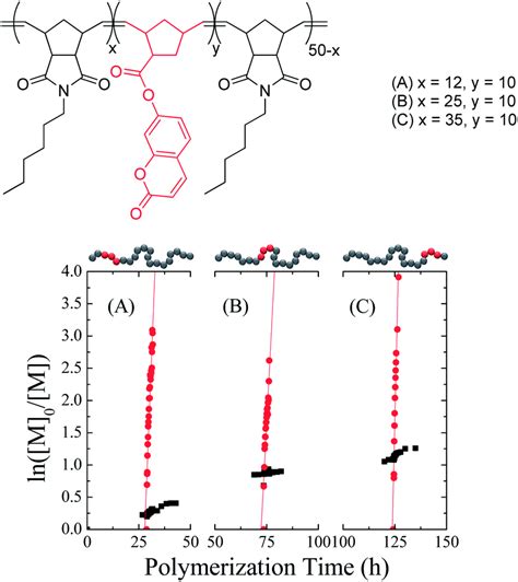 Precision Polymers A Kinetic Approach For Functional Polynorbornenes