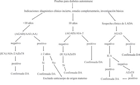 Esquema Para El Diagn Stico Y Predicci N De Diabetes Autoinmune Da