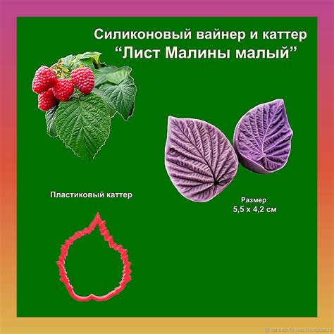 Листья малины малый наборы силиконовых вайнеров и катероа в интернет ...