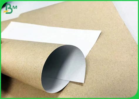 Coated Single Sided 300G 350G White Clay Coated Kraft Board Duplex