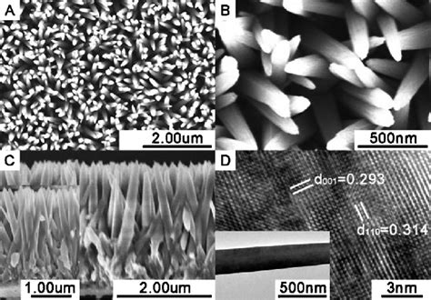 Morphologies Of Tio Nanorod Arrays Typical Top View Sem Images Of