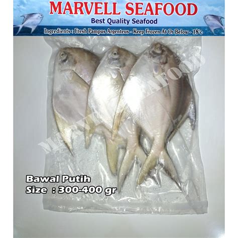 Jual Ikan Bawal Putih Fresh Frozen Size Gr Pcs Shopee Indonesia