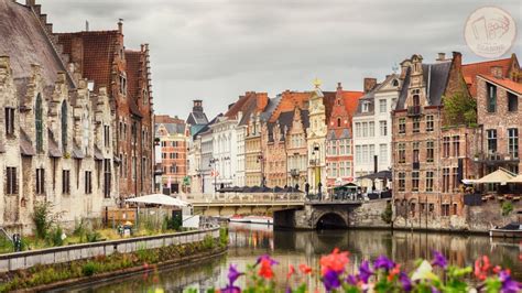 7 Best Travel Books About Belgium - What We Reading