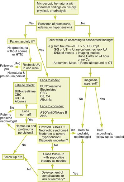 Hematuria, microscopic | Clinical Gate