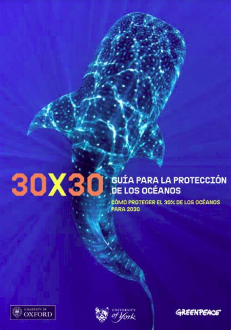 30x30 Guía Para La Protección De Los Océanos Es Greenpeace España