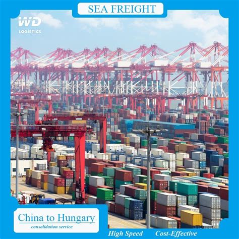 Professional And Efficient Freight Forwarder Sea Shipping Agent From