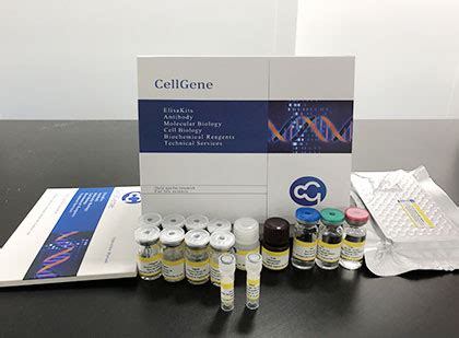 Promotions Shanghai Bluegene Biotech Co Ltd