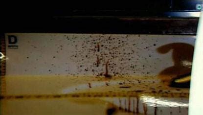 Jodi Arias Trial: The Most Important Crime Scene Photos