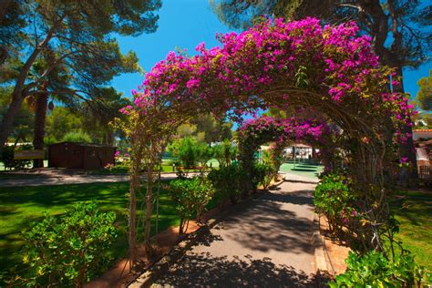 Alpiselect Tui Magic Life Cala Pada Resort