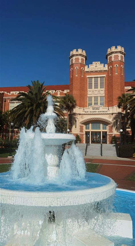 florida state university