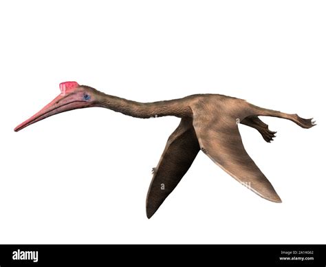 Quetzalcoatlus Pterosaur