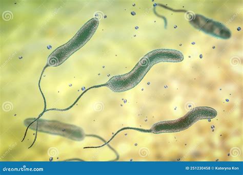 Vibrio Cholerae Bacteria 3d Illustration 251230458