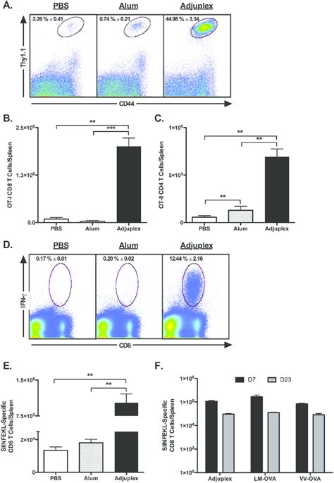 Adjuplex Potently Activates Ova Specific Cd8 T Cells Following