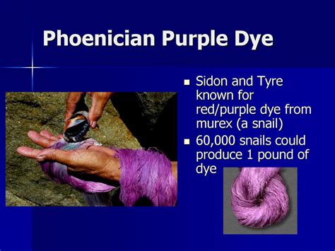 Phoenician Purple Dye