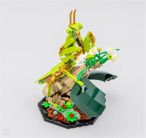 Review Lego Ideas The Insect Collection Hoth Bricks