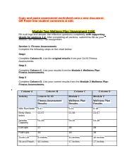 Copy Of Wellness Plan Docx Copy And Paste Assessment