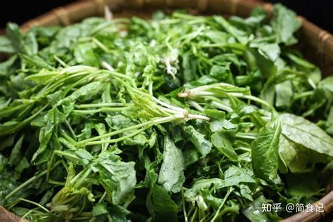 春天，带“毒素”的4种野菜，不焯水尽量别吃，健康问题，要重视 知乎