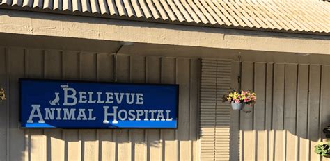 Best Veterinary Hospital In Bellevue, WA | Bellevue Animal Hospital