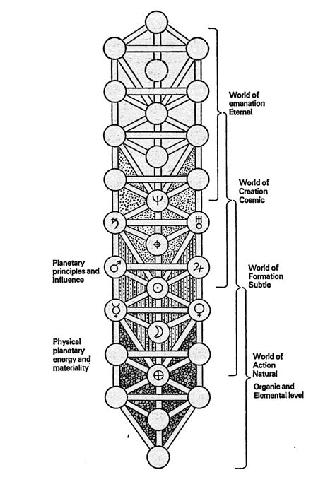 Tree Of Life Kabbalah Jewish Mysticism Israel