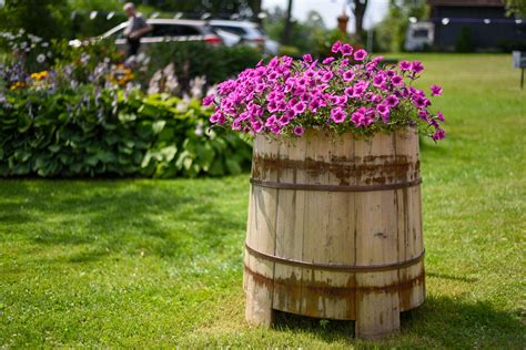 Arredare Il Giardino A Costo Zero Con Il Riciclo 9 Ispirazioni Da Non