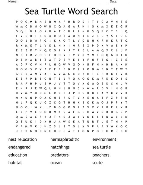 Turtle Fest Word Search Wordmint