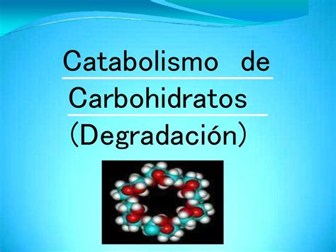 Metabolismo De Carbohidratos Ppt Descargar