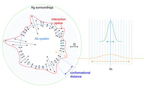 Biophysica Free Full Text Complex Physical Properties Of An