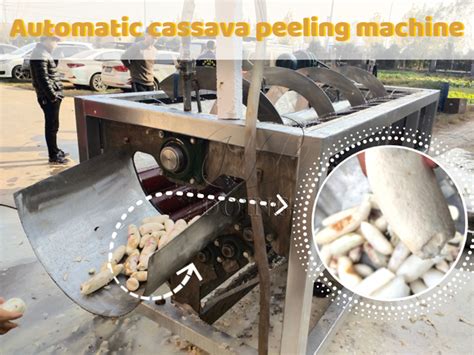 How To Peel Cassava Root By Cassava Peeling And Washing Machinefaq