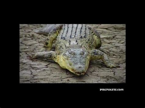 Gabriella Bond se monta un trío con anal en el desierto XVIDEOS