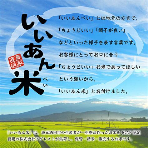 ふるさと納税 新庄市 令和4年産山形県産はえぬき 無洗米5kg×2袋 計10kg 【新品】