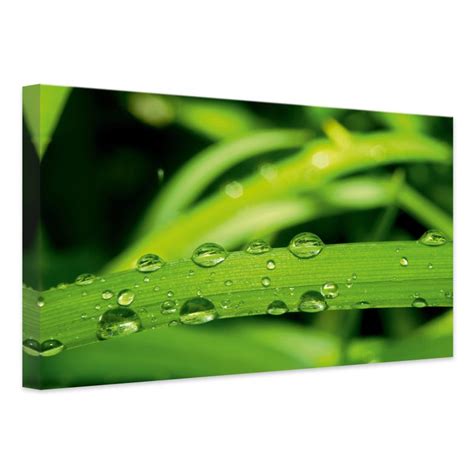 Nature 5 Canvas print - wall-art.com