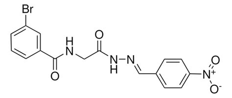 3 BROMO N 2 2 4 NITROBENZYLIDENE HYDRAZINO 2 OXOETHYL BENZAMIDE