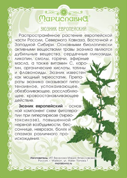 Зюзник европейский (трава) купить / Лекарственные травы / фитомагазин ...