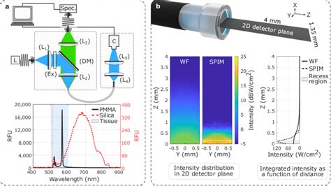 SPIM Probe Characterisation Including Measurement Of Fibre Core