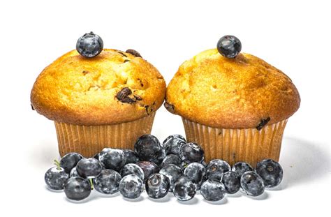 Tag Des Blaubeermuffins National Blueberry Muffin Day Usa Juli