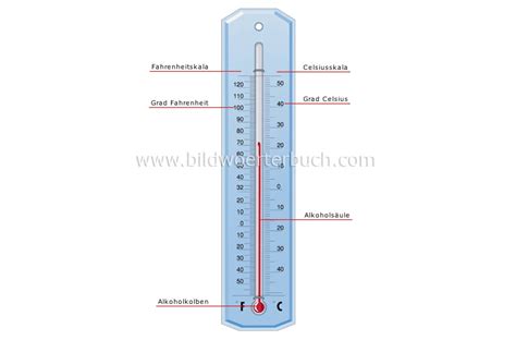 Science Measuring Devices Measure Of Temperature Thermometer