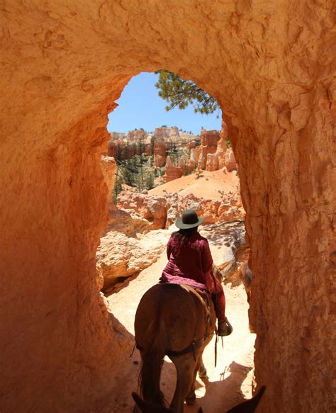 Making Restorations: Mule Rides in Bryce Canyon