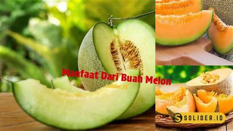 Temukan Manfaat Buah Melon Yang Jarang Diketahui Demi Kesehatan Anda