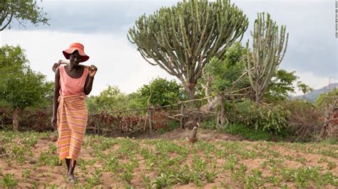 In Zimbabwe Climate Change Is Fueling Erratic Harvests And Farmers