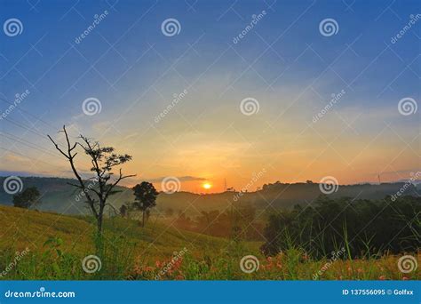 Sunrise in the Mountain Field Stock Image - Image of green, grass: 137556095